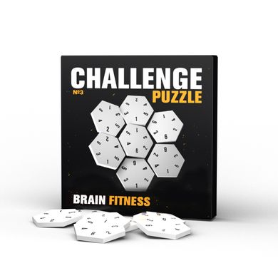 Головоломка Challenging puzzle №3, IQ Puzzle Фітнес для мозку, 1 шт